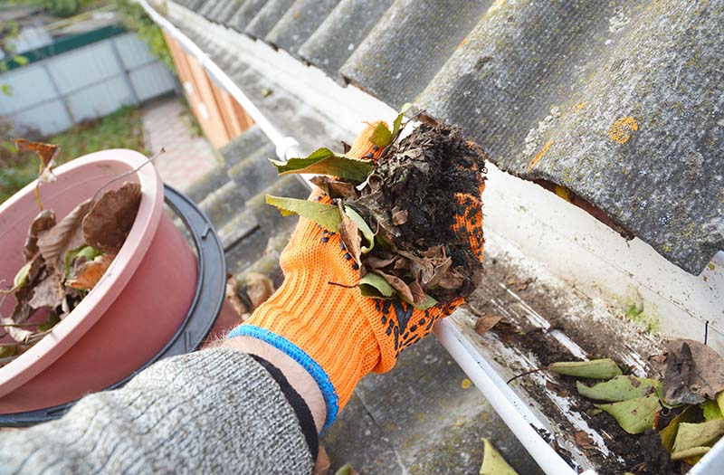 The Importance of Gutter Cleaning and Maintenance