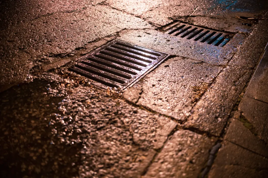 Common Causes of Drain Blockages Affecting Costs
